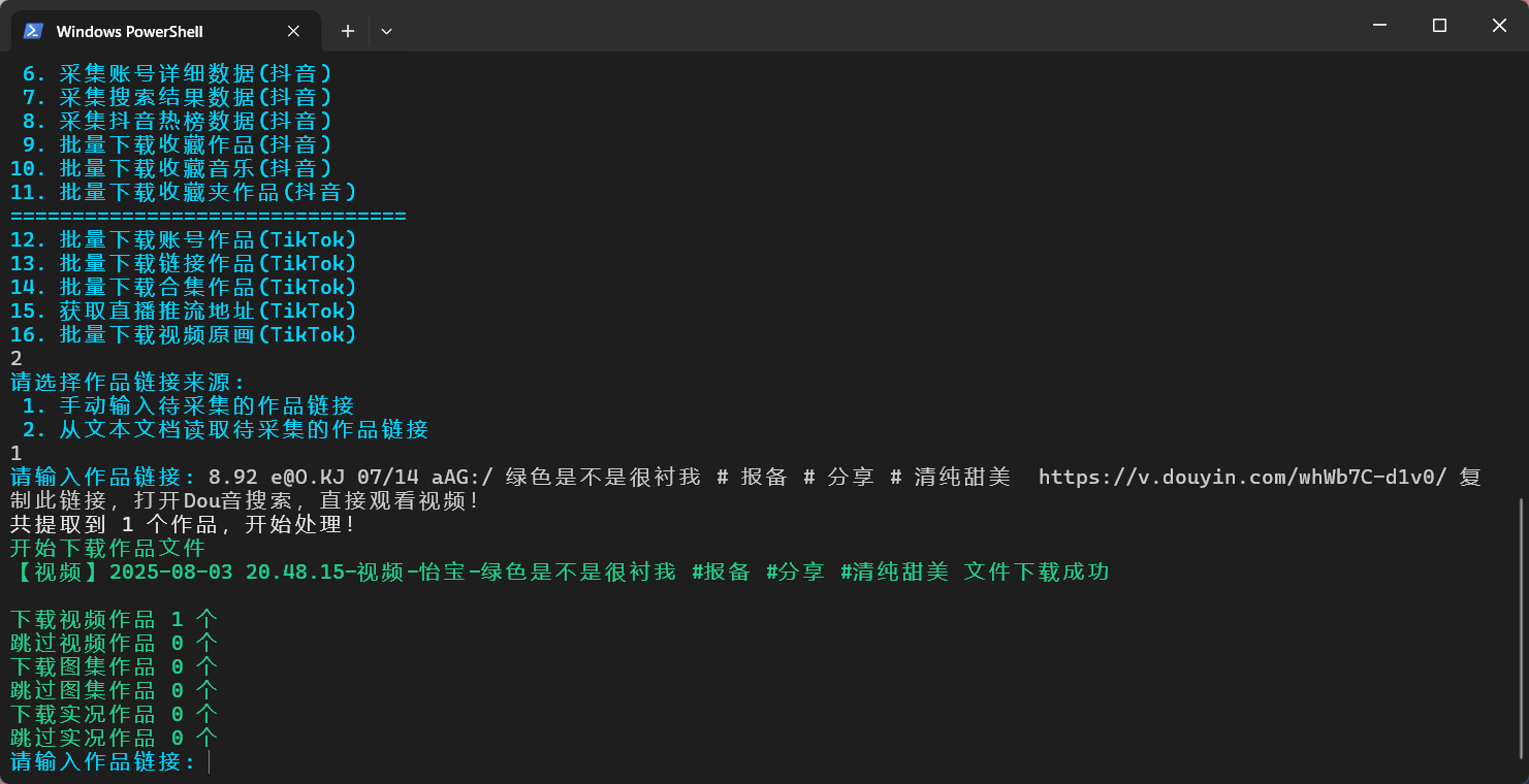 TikTokDownloader screenshot 4