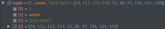 intellij-elixir screenshot 96