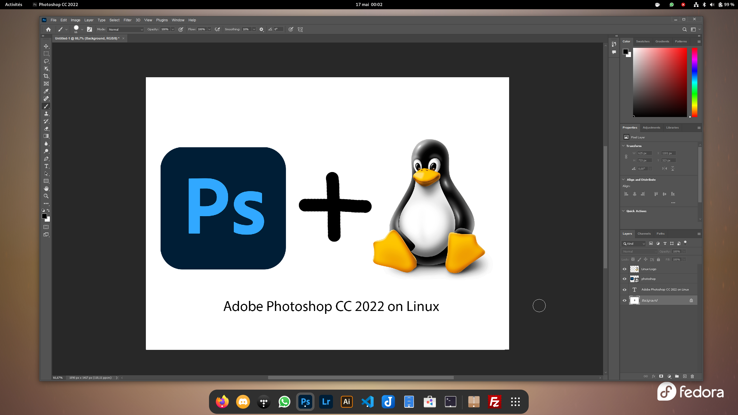 Photoshop-CC2022-Linux screenshot 1