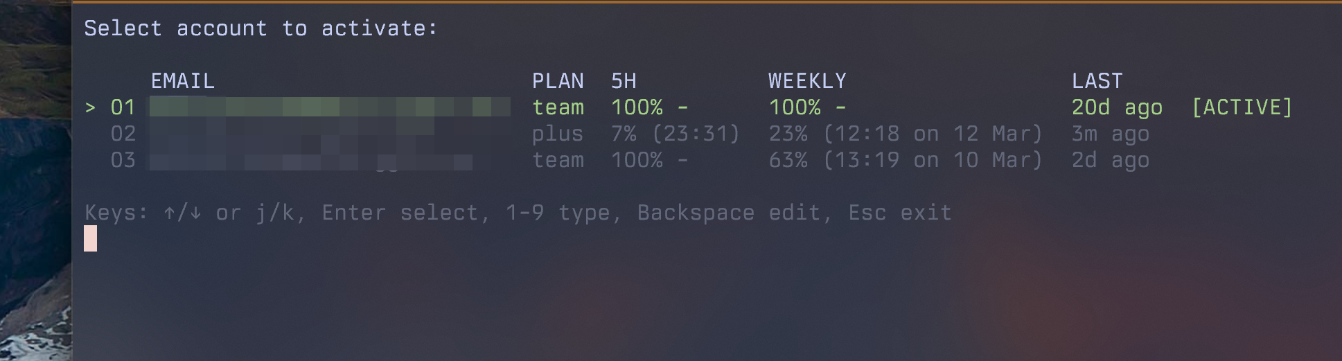 codex-auth screenshot 2