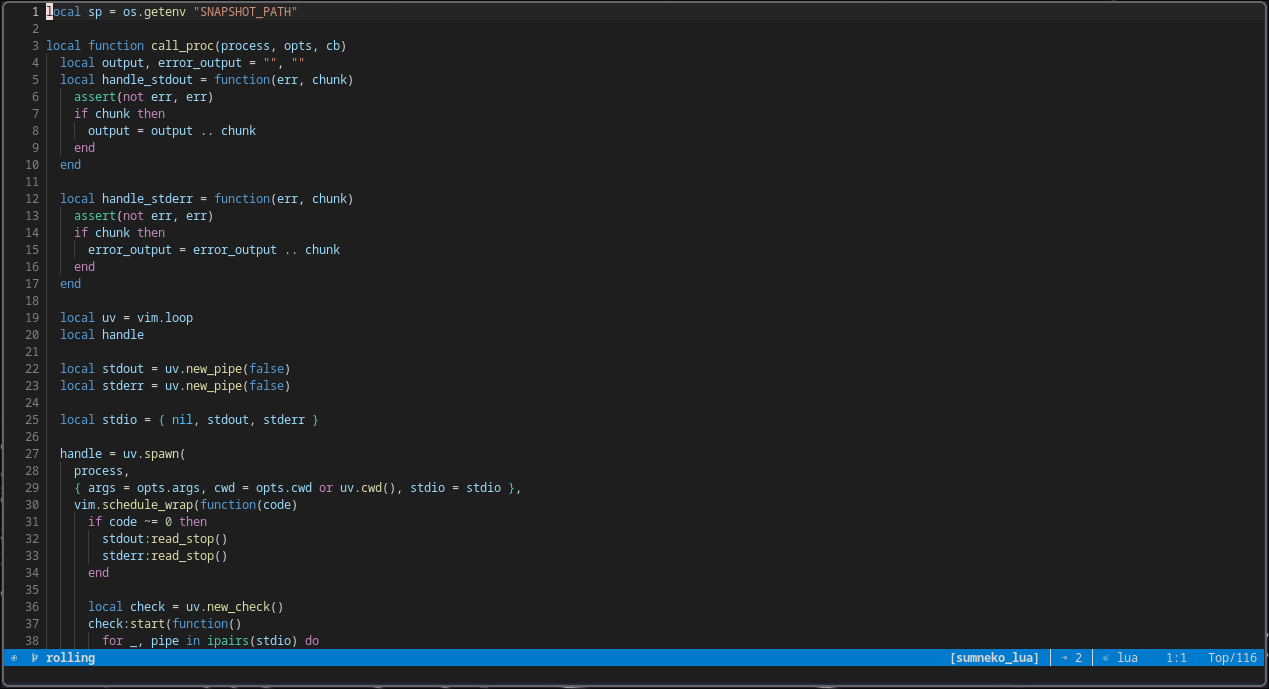 darkplus.nvim screenshot 2