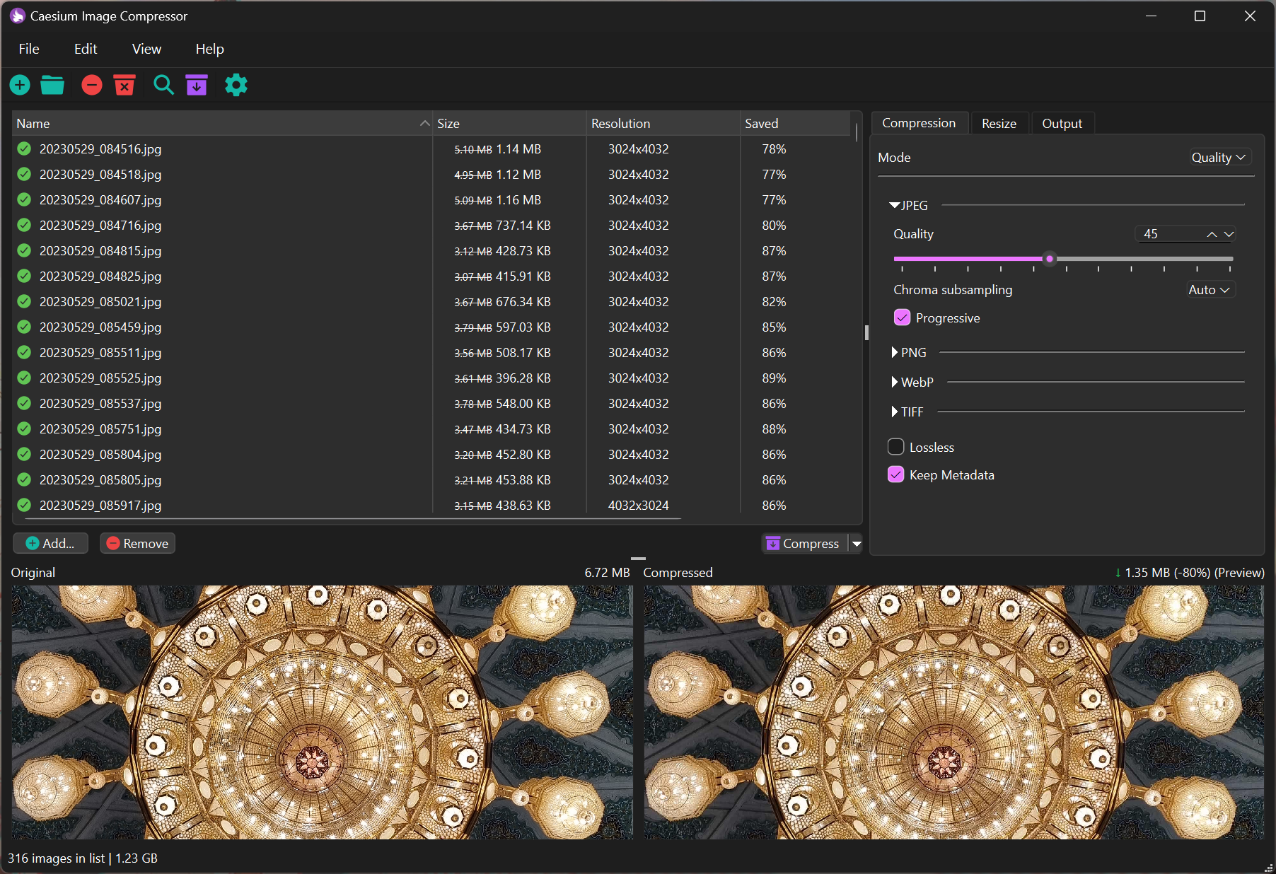 caesium-image-compressor screenshot 1