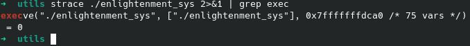 CVE-2022-37706-LPE-exploit screenshot 5