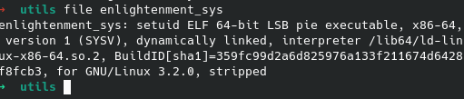 CVE-2022-37706-LPE-exploit screenshot 2