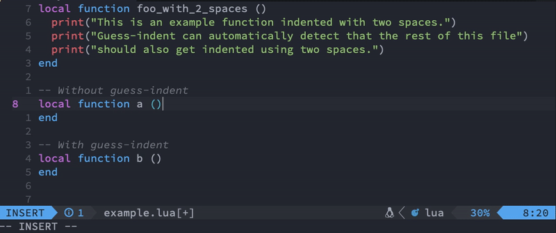 guess-indent.nvim screenshot 1
