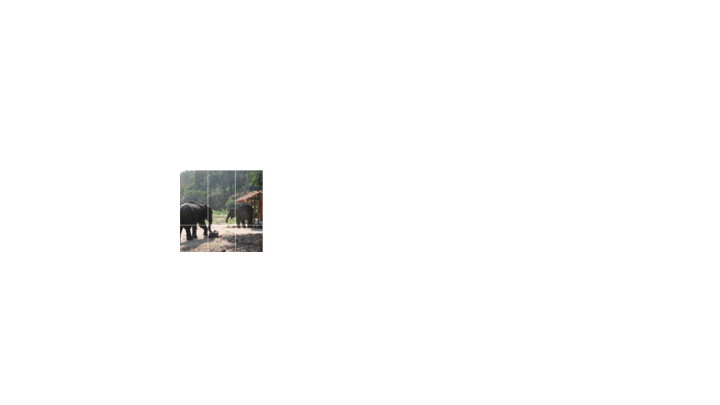 GroupViT screenshot 1