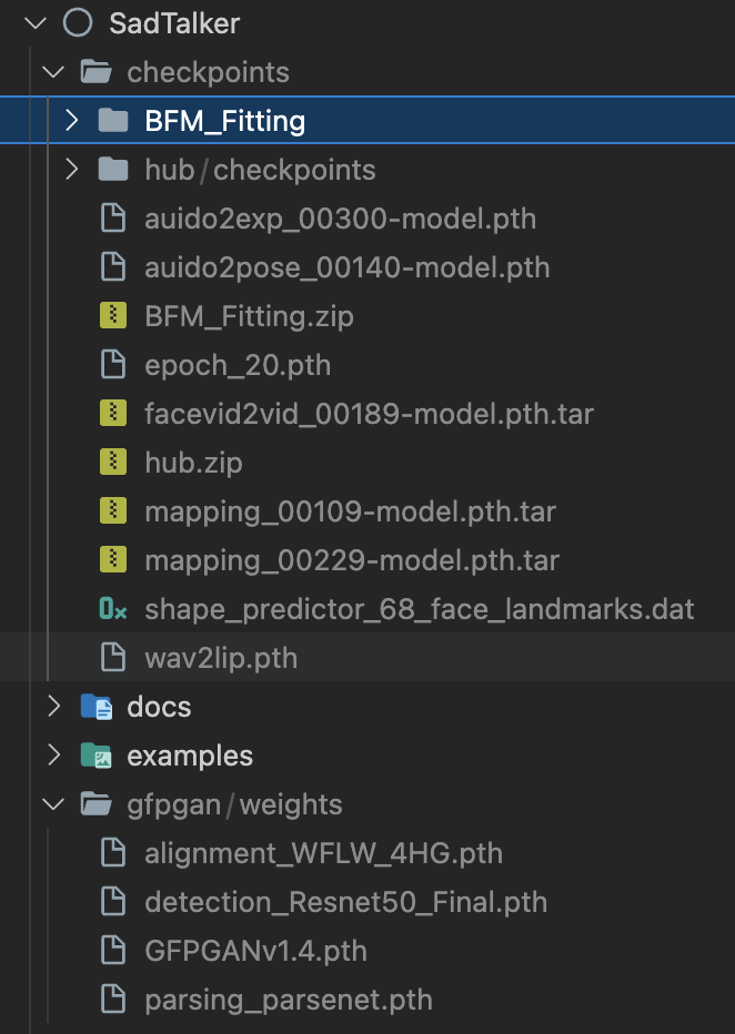 SadTalker screenshot 3