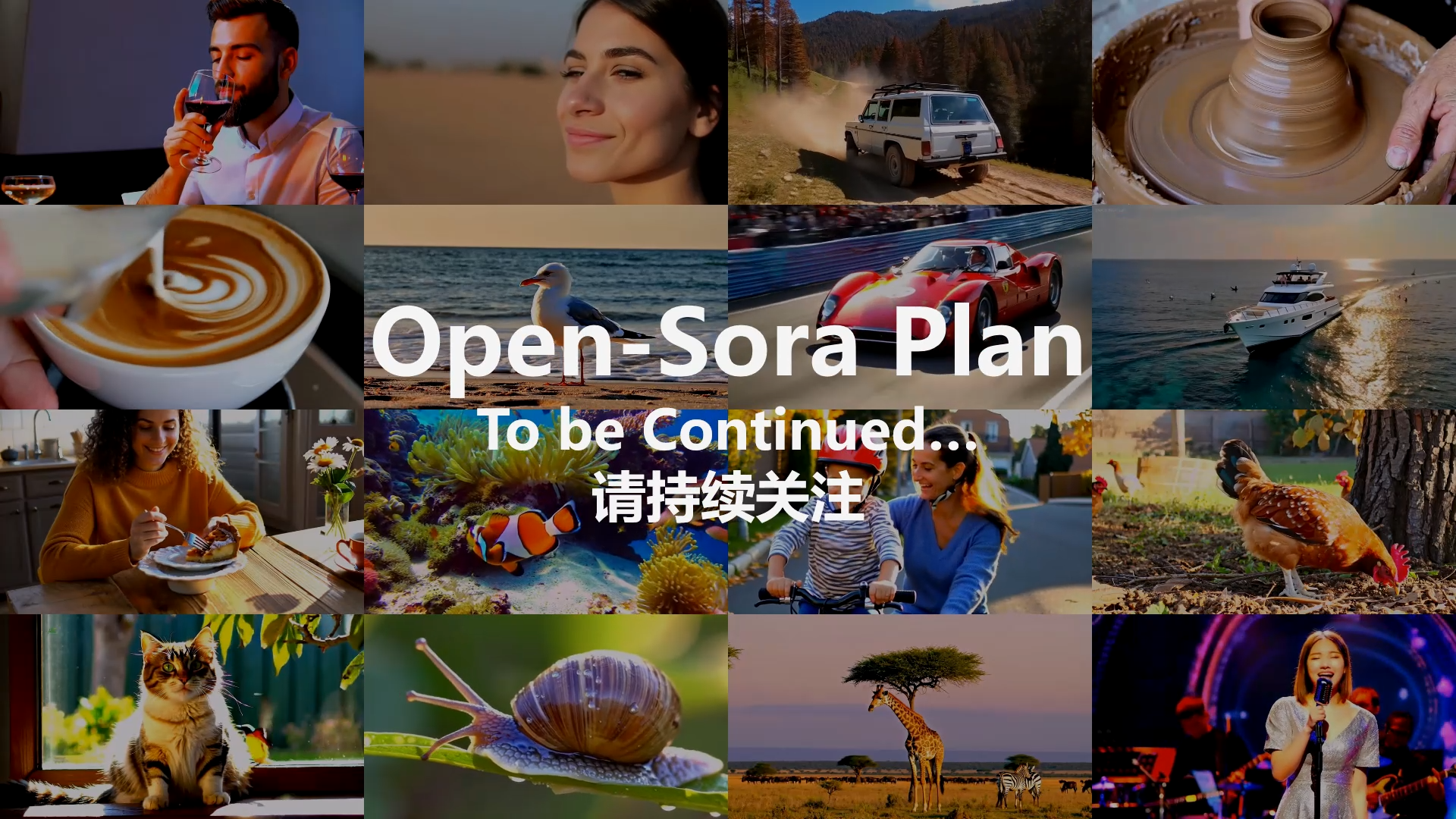 Open-Sora-Plan screenshot 1