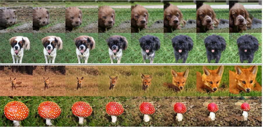 PyTorch-StudioGAN screenshot 4