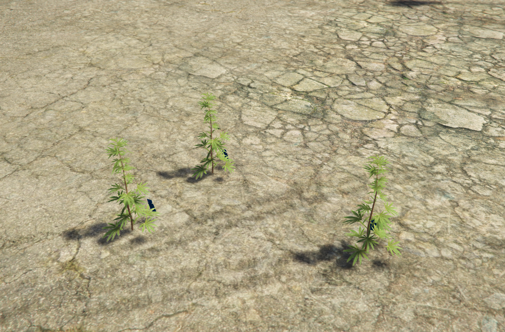 ps-weedplanting screenshot 3