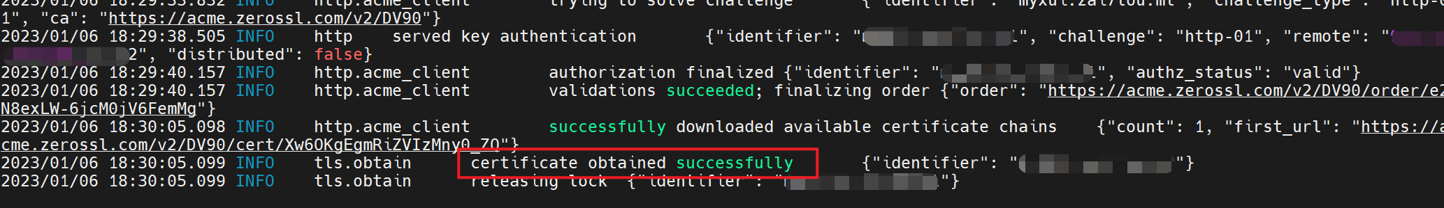 naiveproxy-docker screenshot 4