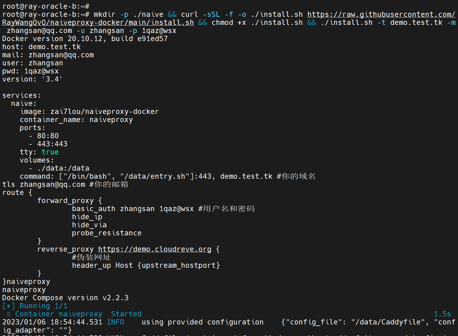naiveproxy-docker screenshot 3