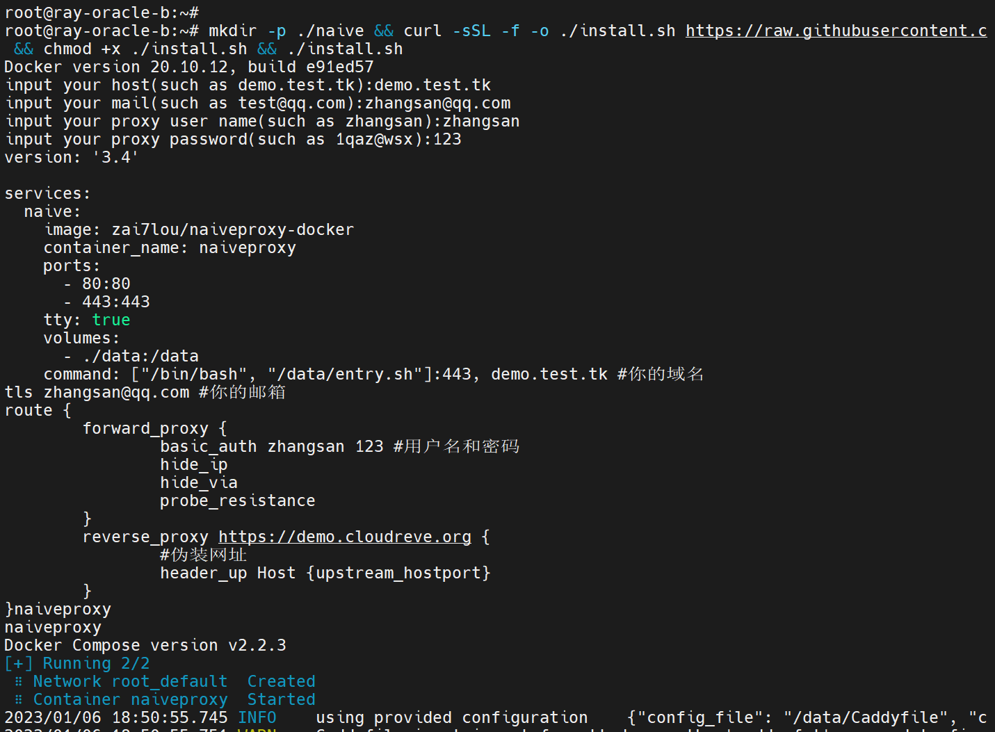 naiveproxy-docker screenshot 2