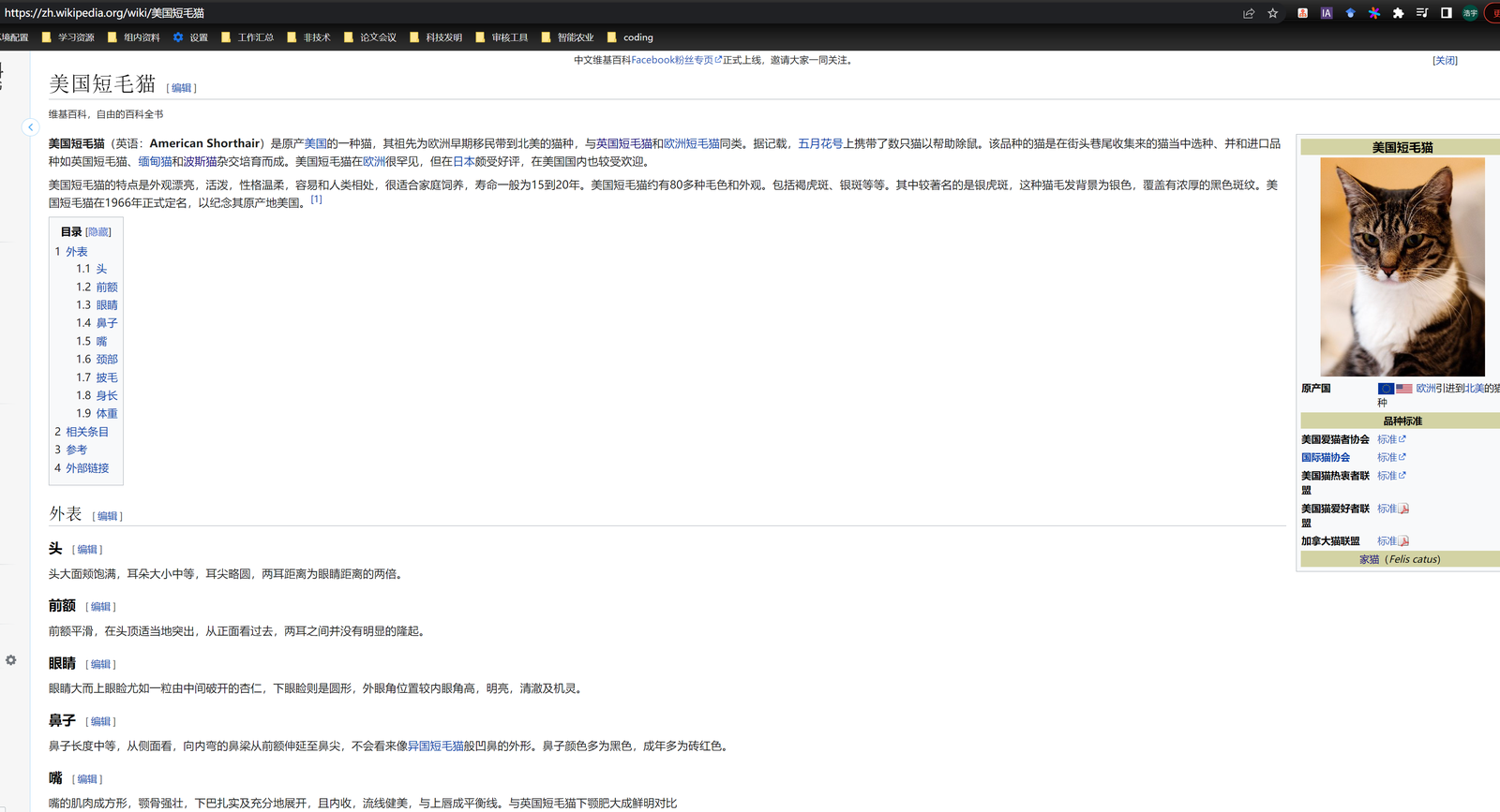 open-chat-video-editor screenshot 4