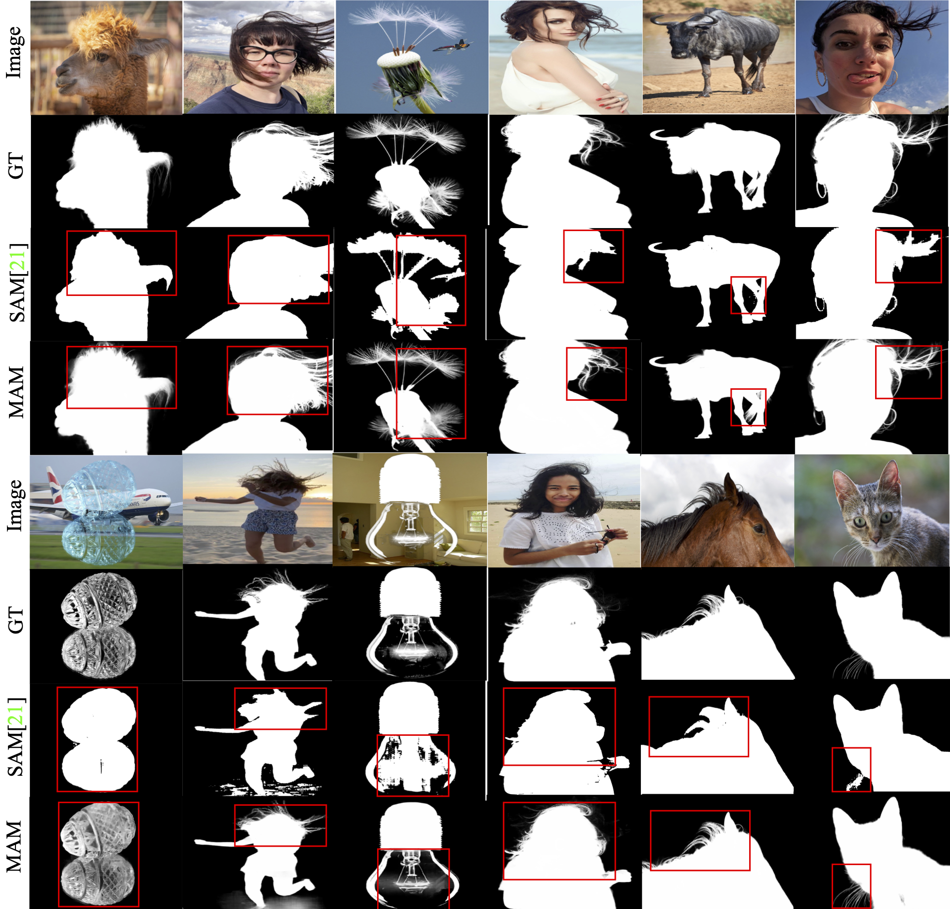 Matting-Anything screenshot 4