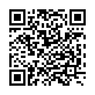 QRExfil screenshot 1