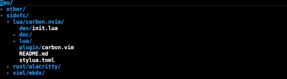 carbon.nvim screenshot 5