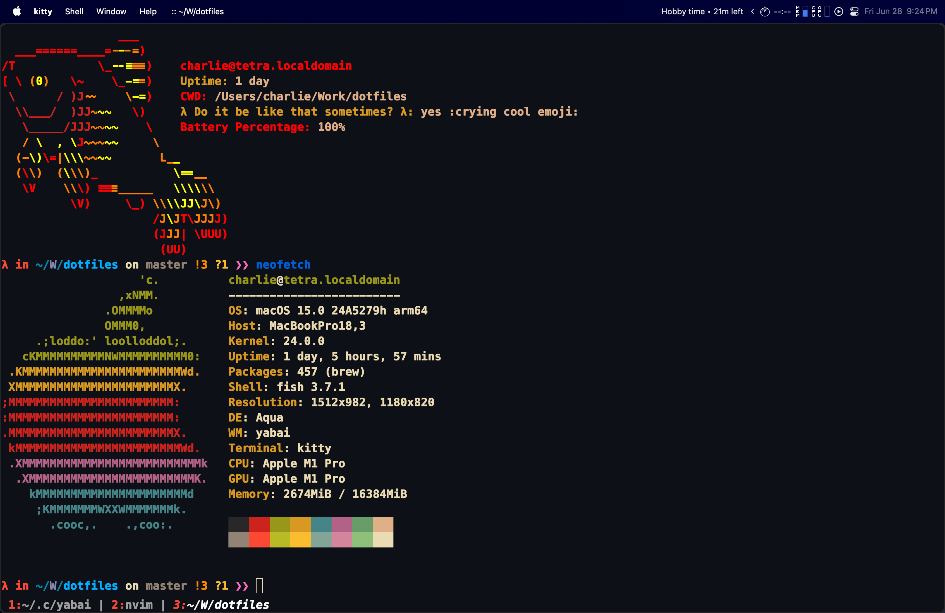 dotfiles screenshot 2