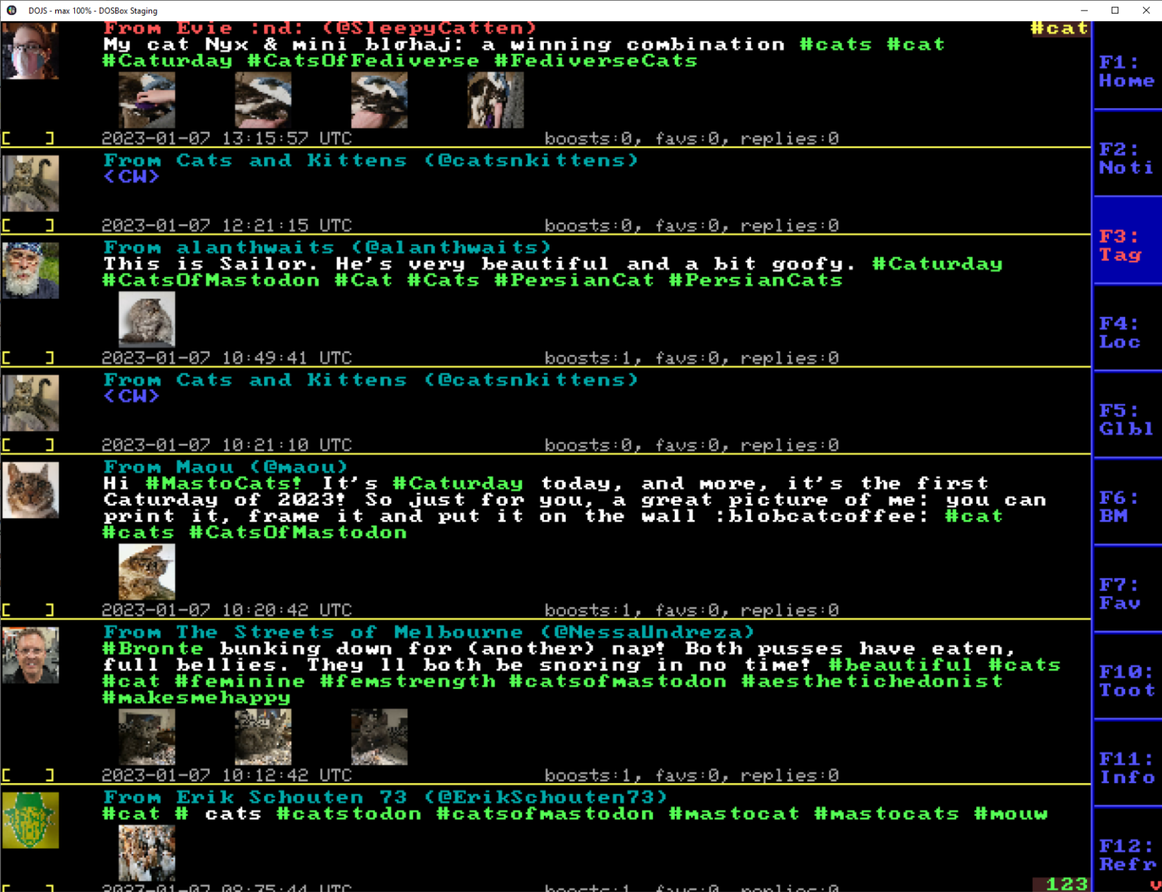 DOStodon screenshot 1