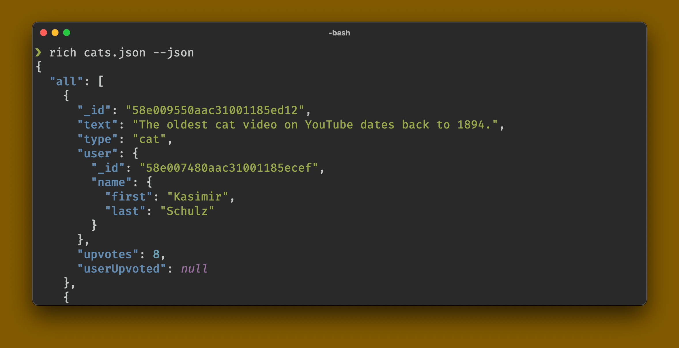 rich-cli screenshot 6