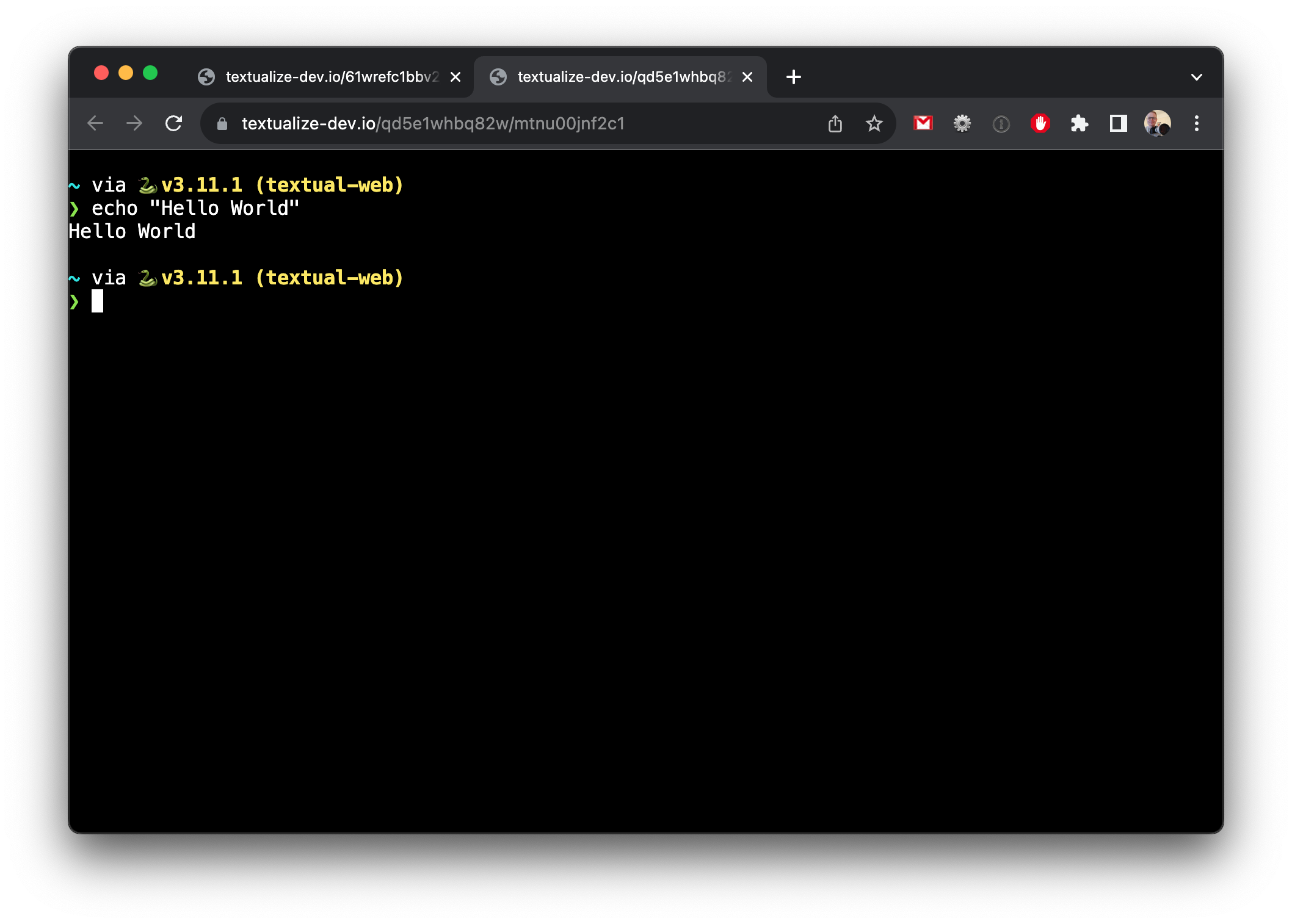 textual-web screenshot 4