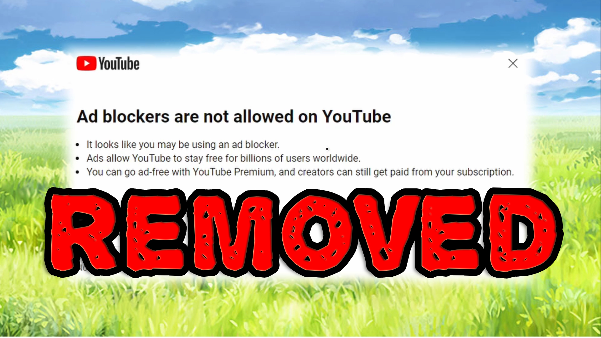 RemoveAdblockThing screenshot 1