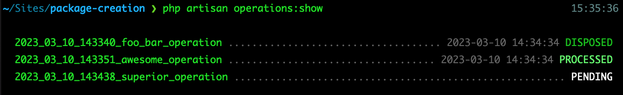 laravel-one-time-operations screenshot 6