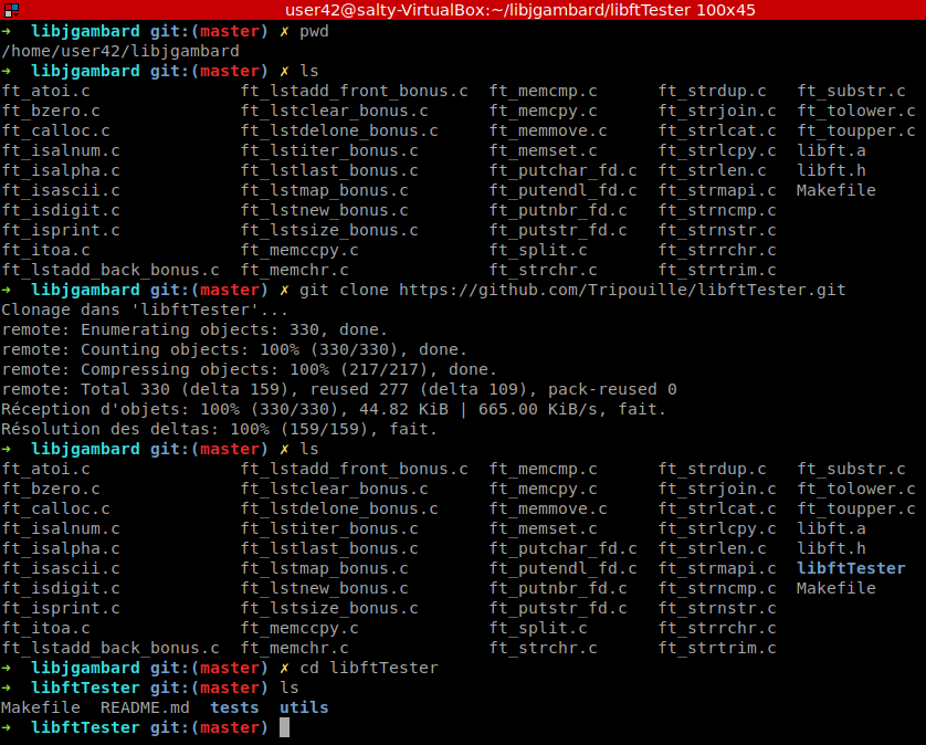 libftTester screenshot 1