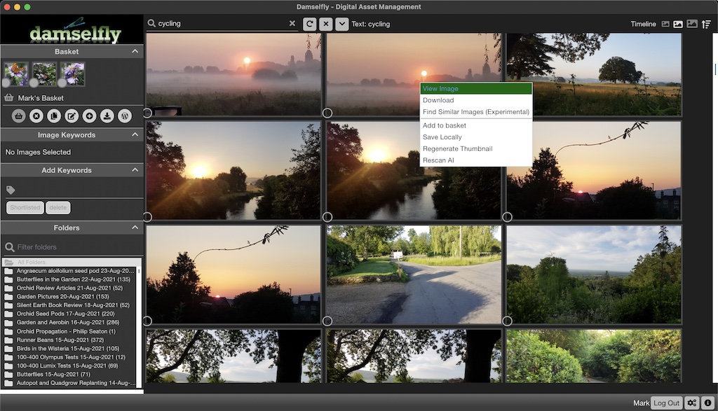 Damselfly screenshot 5