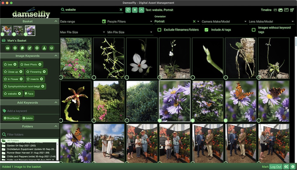 Damselfly screenshot 4