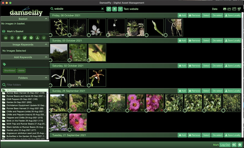 Damselfly screenshot 8
