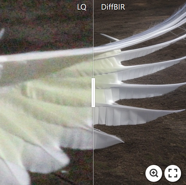 DiffBIR screenshot 17
