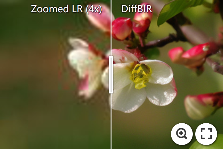 DiffBIR screenshot 7