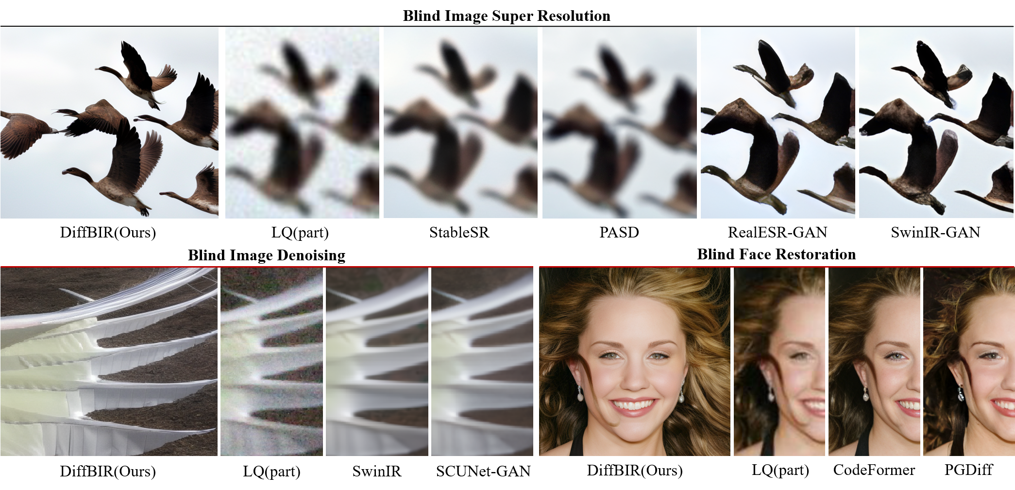 DiffBIR screenshot 1