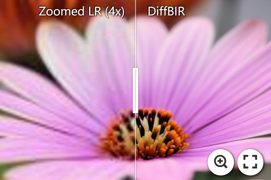 DiffBIR screenshot 6