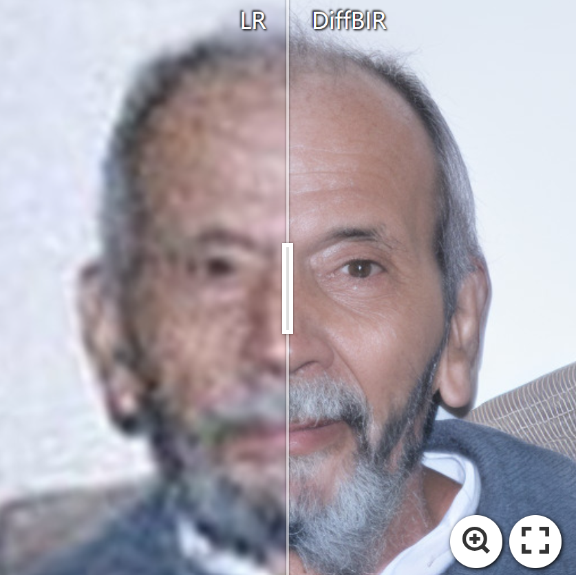 DiffBIR screenshot 11
