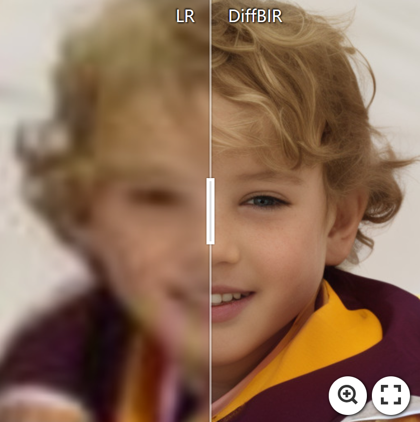DiffBIR screenshot 10