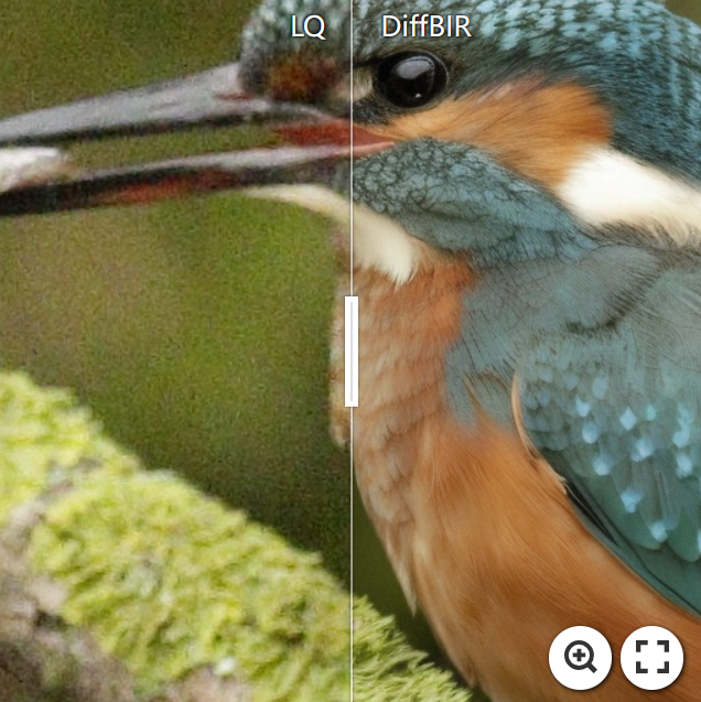 DiffBIR screenshot 15