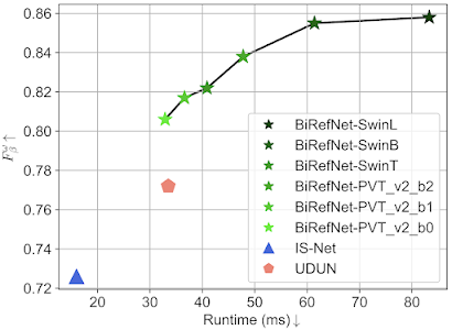 BiRefNet screenshot 12