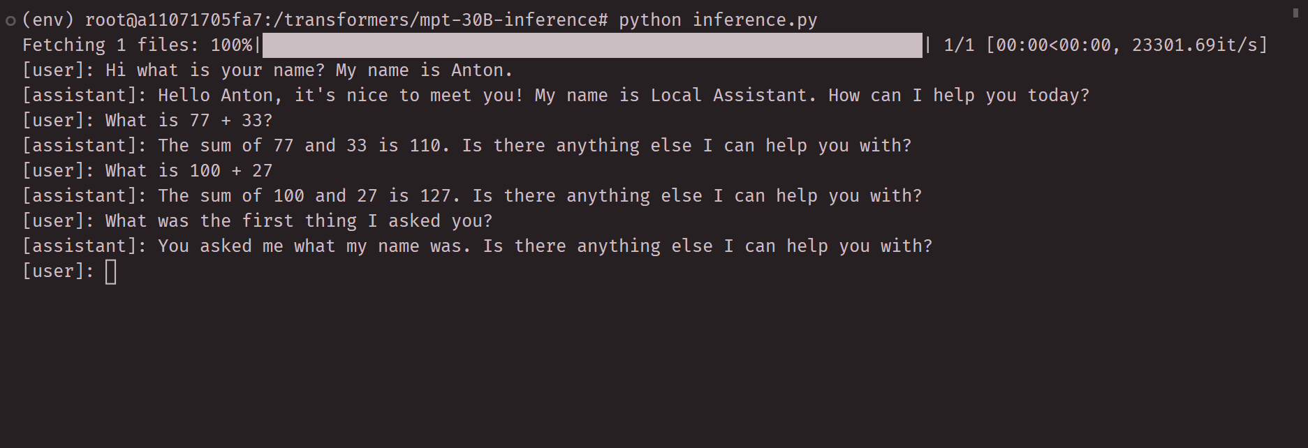 mpt-30B-inference screenshot 1