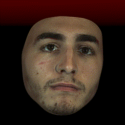 NextFace screenshot 4