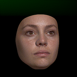 NextFace screenshot 2