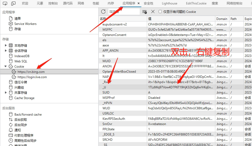 go-proxy-bingai screenshot 11