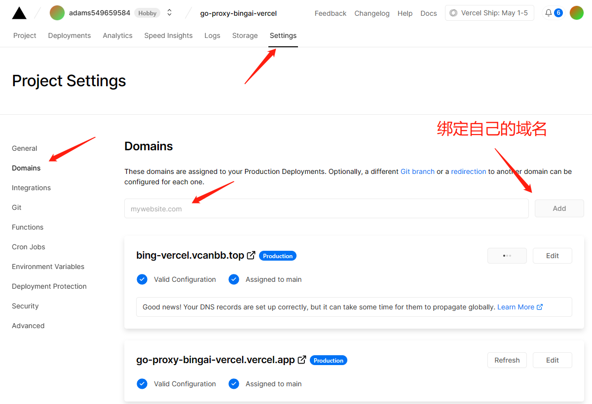 go-proxy-bingai screenshot 16