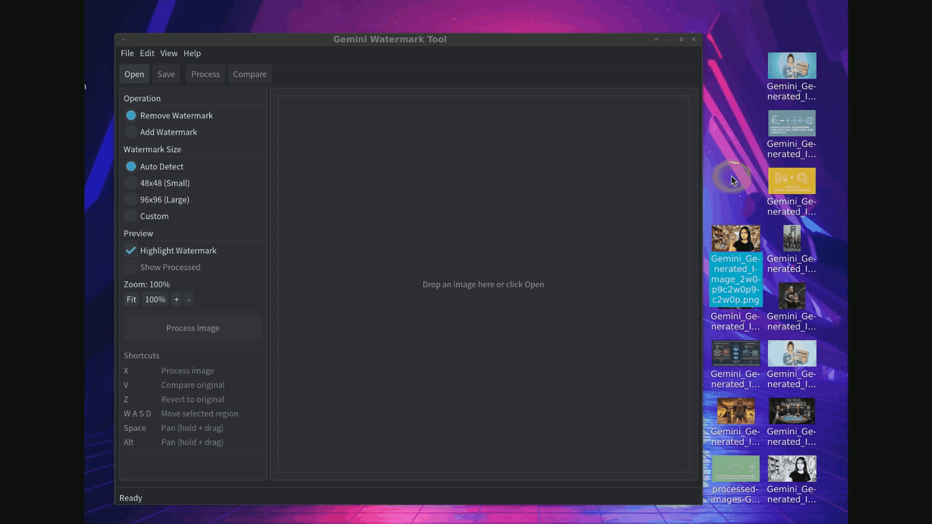 GeminiWatermarkTool screenshot 2