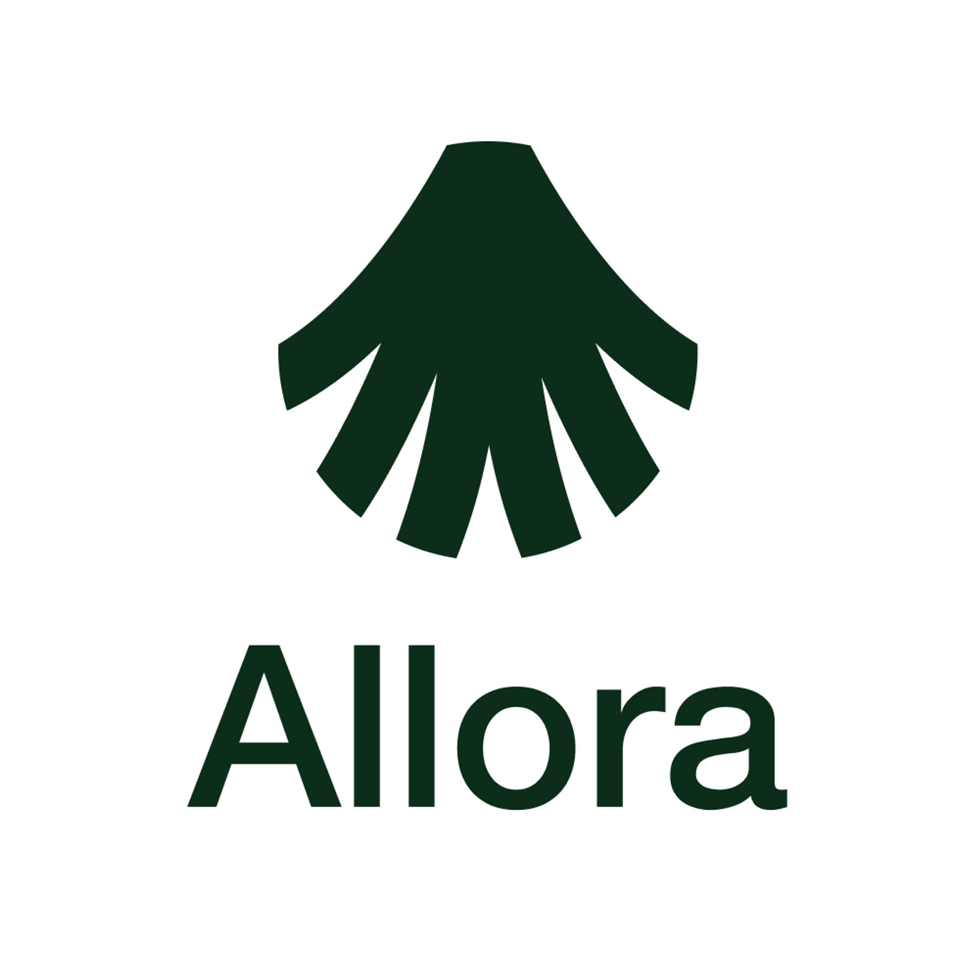 allora-chain screenshot 1