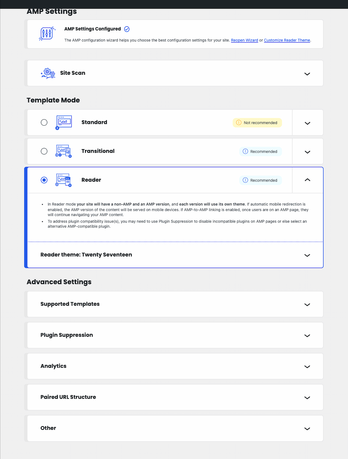 amp-wp screenshot 8
