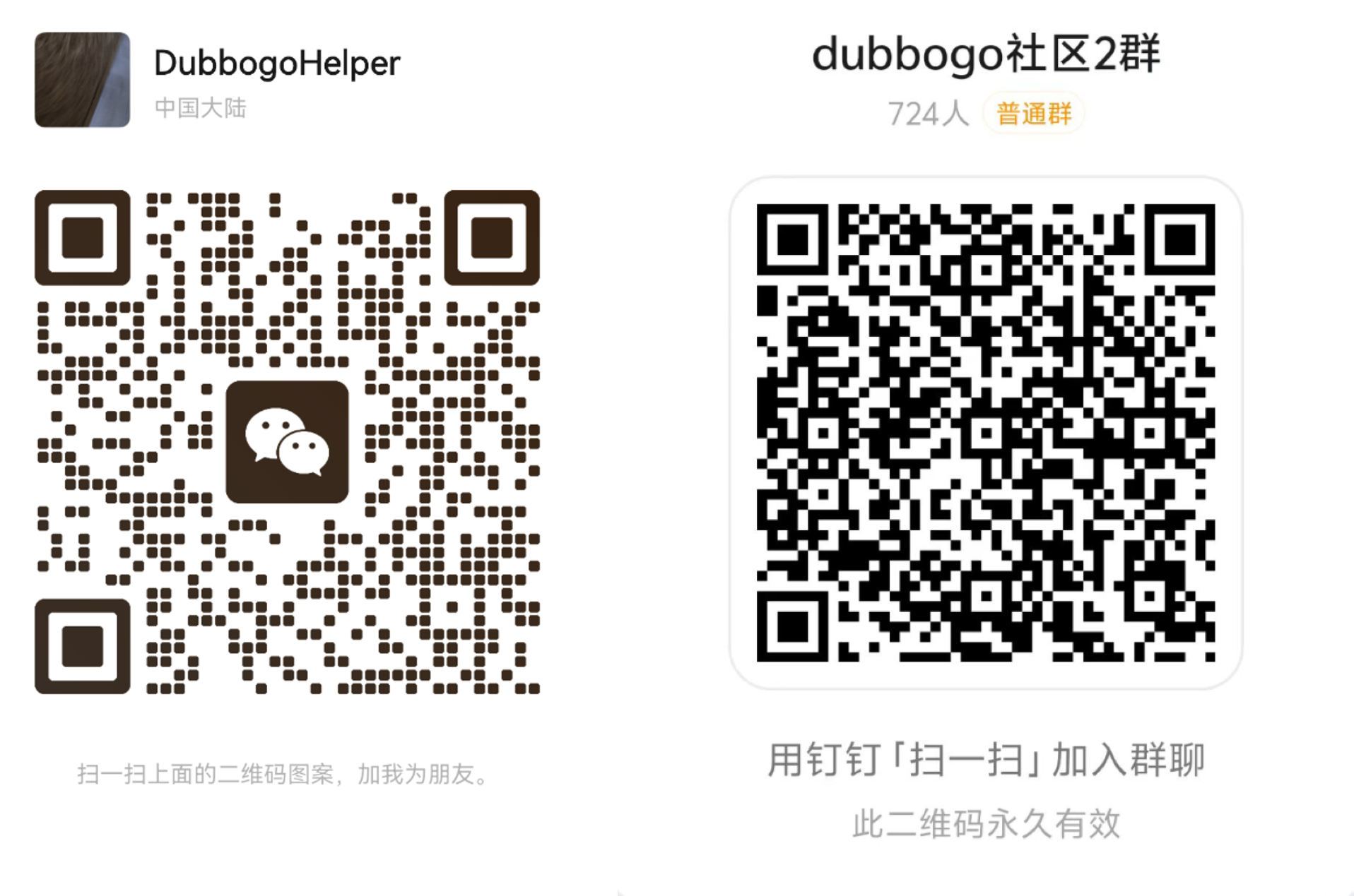 dubbo-go screenshot 2