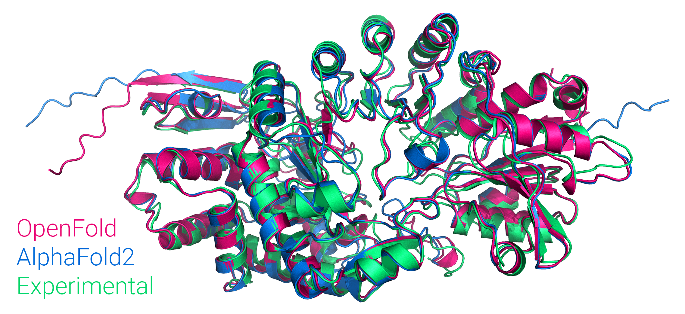 openfold screenshot 1
