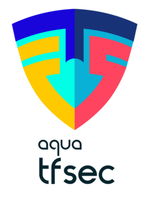 tfsec screenshot 1